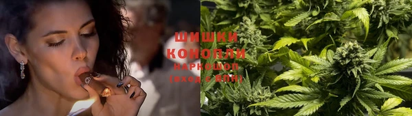 шишки Володарск