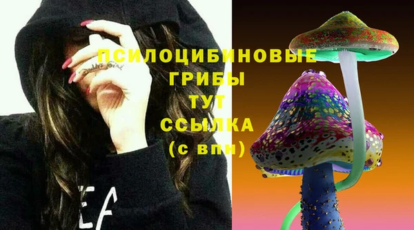 ПСИЛОЦИБИНОВЫЕ ГРИБЫ Волоколамск