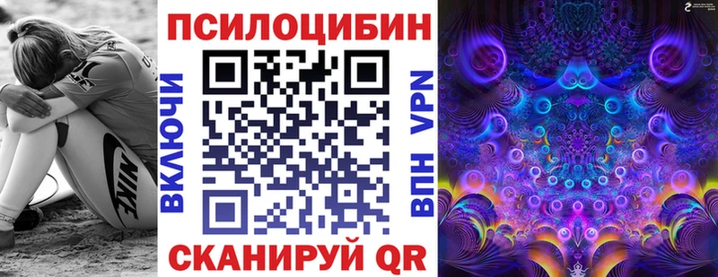 что такое   Ковров  Псилоцибиновые грибы Psilocybe 